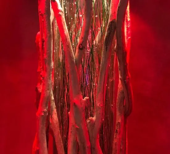 Montana Hôtel&spa Hotel 4*