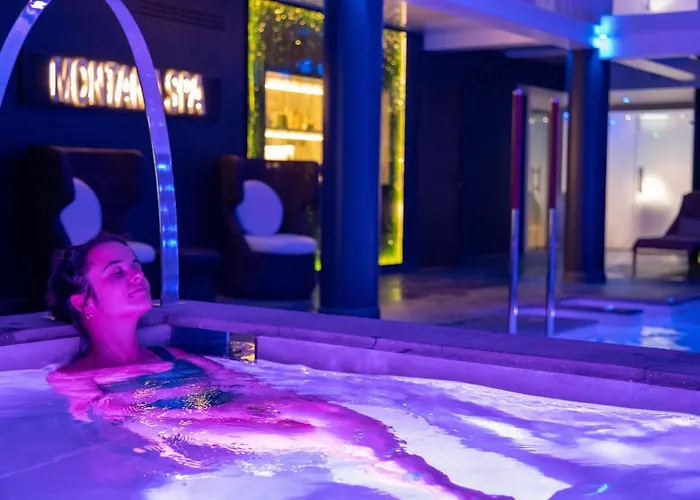 Montana Hôtel&spa Hotel Le Sauze