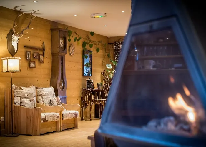 Montana Hôtel&spa 4*