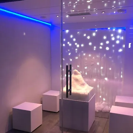 Montana Hôtel&spa 4*