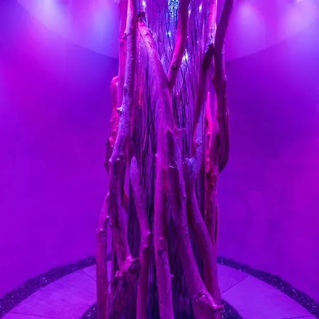 Montana & Hotel Le Sauze