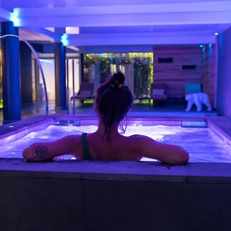 Montana Hôtel&spa Hotel Le Sauze