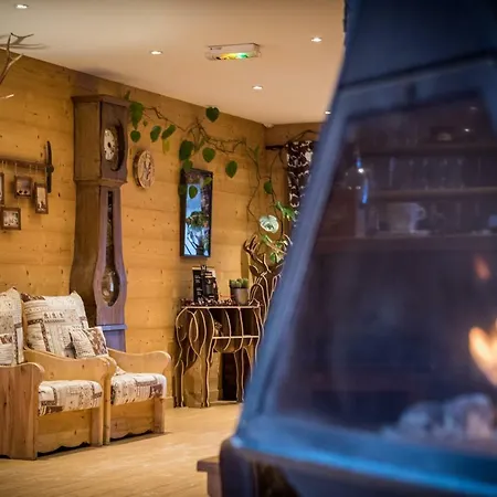 Montana Hôtel&spa 4*