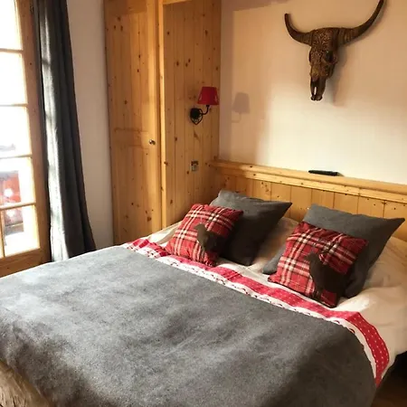 Montana Hôtel&spa 4*