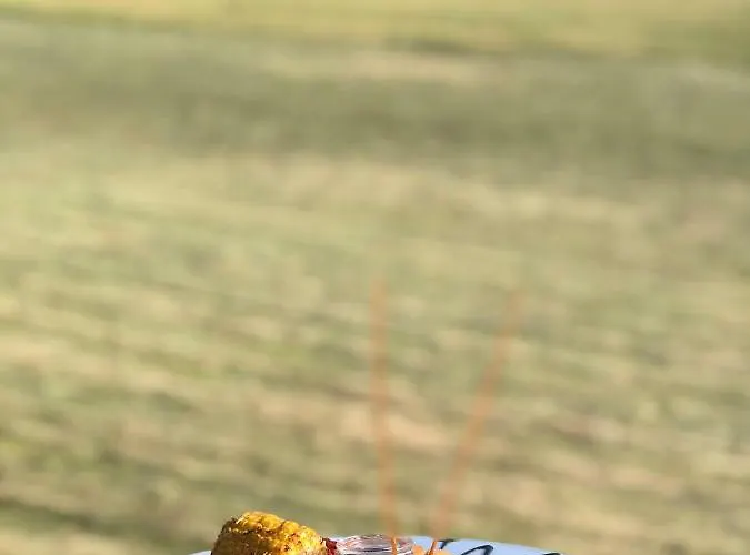 Hotel Montana & Le Sauze